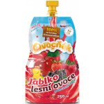 Ovocňák Mošt jablko lesní ovoce 250 ml – Zbozi.Blesk.cz