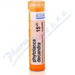 PHYTOLACCA DECANDRA POR 15CH GRA 4G – Hledejceny.cz