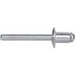 EXTOL PREMIUM nýty trhací hliníkové sada 250ks, O 6,4x8mm plochá hlava 8813872