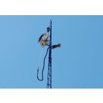 Bungee jumping z jeřábu v Ostravě, Videozáznam, 2 osoby / tandem, Seskok z výšky 50 metrů – Hledejceny.cz