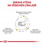 Royal Canin Veterinary Health Nutrition Adult Dog Urinary S/O Small Chicken 4 kg – Zboží Mobilmania