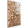 Obraz Impresi Obraz Skandinávský styl suchá tráva - 60 x 90 cm