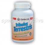 Carne Labs Tribulus Terrestris + Zinek Selen Chrom 120 tablet – Hledejceny.cz
