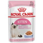 Royal Canin Feline Kitten Inst.v želé 85 g – Hledejceny.cz