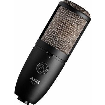 AKG P 420