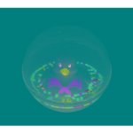 Fisher-Price Koupání kachny v kouli Watermates – Sleviste.cz