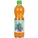 Stevikom Kombucha kopřiva 0,5 l – Sleviste.cz