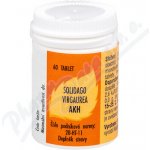 AKH Solidago Virgaurea 60 tablet – Hledejceny.cz