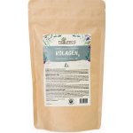 Natureca Kolagen 3 sušený hydrolizovaný 1 kg – Hledejceny.cz