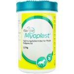 Boehringer Equitop Myoplast 1,5 kg – Zboží Mobilmania