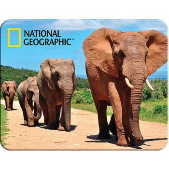 Prime3D magnet Afričtí sloni
