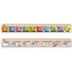 Metrie DSM09 pravítko 25 cm Slovní druhy + pravítko 25 cm Mluvnické pády – Zboží Živě