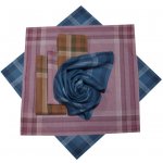 Etex pánské kapesníky dezén F – Zboží Dáma