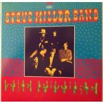 Steve Miller Band - Children OfThe Future LP – Hledejceny.cz