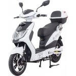 Racceway E-Fichtl 250W 20Ah bílá lesklá | Zboží Auto