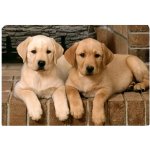 Zolux Podložka pro psy pod misku pejsci L – Zboží Mobilmania