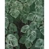 Tapety Komar Vliesová fototapeta Monstera on Marble rozměry 200 x 250 cm