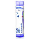 IGNATIA AMARA POR 30CH GRA 1X4G – Sleviste.cz