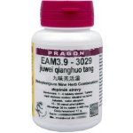 Pragon EAM3.9-3029 jiuwei qianghuo tang 36 tablet – Hledejceny.cz