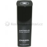 Chanel Antaeus toaletní voda pánská 100 ml – Sleviste.cz