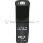 Chanel Antaeus toaletní voda pánská 100 ml – Hledejceny.cz