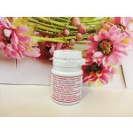 Integra Tea Tree Oil 60 kapslí – Hledejceny.cz