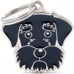 My Family SCHNAUZER gravírovateľný přívěsek 3,3 x 2,6 cm – Hledejceny.cz