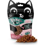 Lucky Lou Lucky Ones Cubes kuřecí a husa 80 g – Zboží Mobilmania