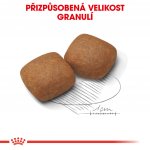 Royal Canin Giant Junior Active 15 kg – Hledejceny.cz