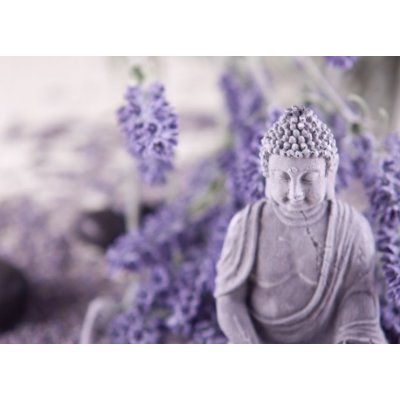 WEBLUX 23736783 Samolepka fólie Buddha bei Zen Meditation Buddha bei Zen  meditace masážní stena Lavendel rozměry 200 x 144 cm od 643 Kč - Heureka.cz
