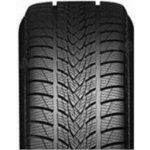 Imperial Snowdragon UHP 205/50 R17 93V – Hledejceny.cz