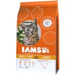 Iams ProActive Health Adult kuře 10 kg – Hledejceny.cz