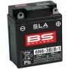 BS Battery 6N6-3B