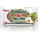 Energetická tyčinka NUTREND Bio Wellness Oats Cake 50 g