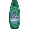 Šampon Schauma Men šampon proti lupům Máta a citronová tráva 400 ml