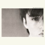 Crumbling the Antiseptic Beauty - Felt LP – Hledejceny.cz
