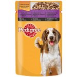Pedigree Adult kuře zelenina 100 g – Sleviste.cz