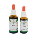 Salvia Paradise Konopí CBD Cannabis sativa AF tinktura 30 ml – Zbozi.Blesk.cz