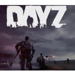 DAYZ – Zbozi.Blesk.cz