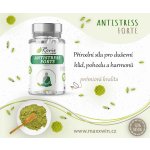 Maxxwin Antistress Forte 90 kapslí – Hledejceny.cz
