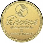 Divine obří mince z mléčné čokolády 26% 58 g – Hledejceny.cz