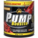 ALL STARS PUMP Booster 352 g