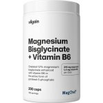 Vilgain Hořčík bisglycinát + B6 200 kapslí – Hledejceny.cz