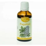 Serafin Kaštanová tinktura z pupenů 50 ml – Hledejceny.cz