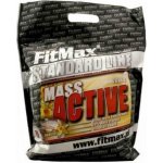 Fitmax Mass Active 2000 g – Hledejceny.cz