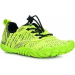 Saguaro Green – Sleviste.cz