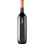 Klet Brda Bagueri Superior Sauvignon Blanc 2021 Bílé 14% 0,75 l (holá láhev) – Hledejceny.cz