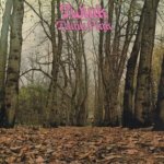 Twink - Think Pink CD – Zboží Mobilmania