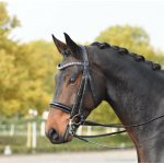 BUSSE Uzda Luxury černá crystal pearl – Zboží Dáma