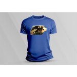 Sandratex dětské bavlněné tričko Jak vycvičit draka královsky modrá – Sleviste.cz